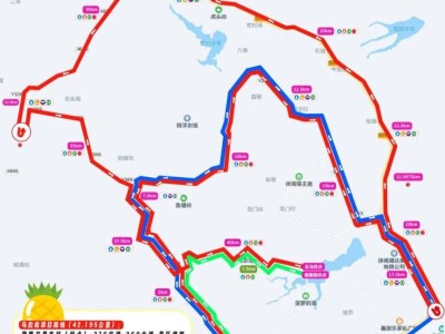 2025湛江徐聞馬拉松線路圖