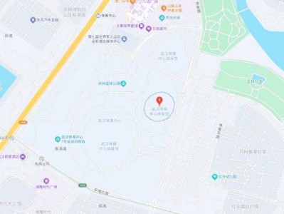 2025王力宏武漢演唱會(huì)活動(dòng)攻略（購(gòu)票+觀演）