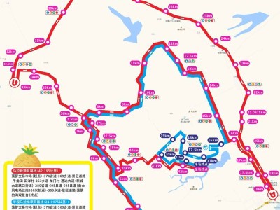 2026徐聞馬拉松賽事期間交通管制