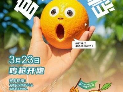 2025湛江廉江半程馬拉松比賽時間什么時候