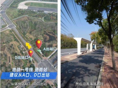 2024合肥馬拉松檢錄怎么去（附具體路線）