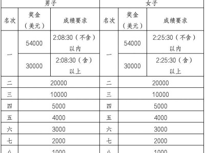 深圳馬拉松獎金多少錢2024