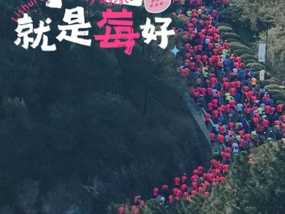 2025南京溧水半程馬拉松最新消息