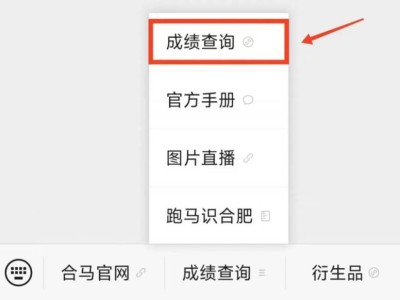 合肥馬拉松成績查詢官方網站2024