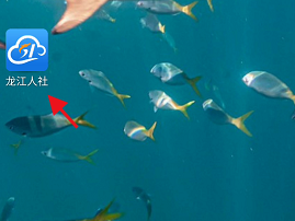 龍江人社APP認(rèn)證記錄信息在哪里查詢？