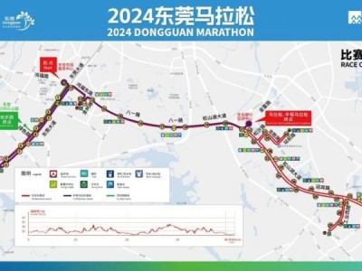 2024東莞馬拉松報名費用是多少錢？