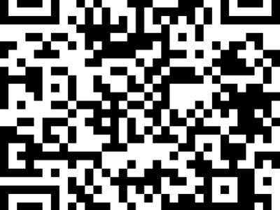 2025銀川職馬開幕儀式