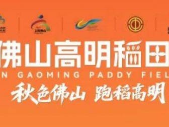 2025高明稻田馬拉松什么時候開始報名？