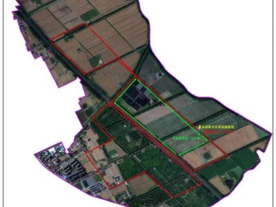 2025南通如皋村級馬拉松參賽指南