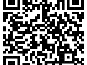 2024臺(tái)州馬拉松成績(jī)查詢?nèi)肟? class=