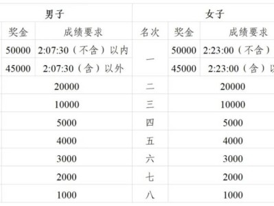 2024廣州馬拉松獎金