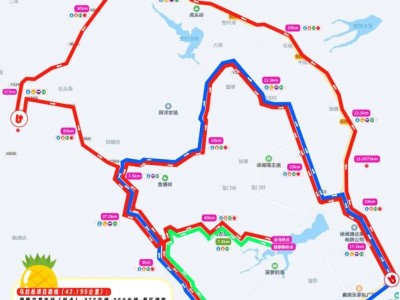 2025徐聞馬拉松賽舉辦期間實(shí)行交通管理措施