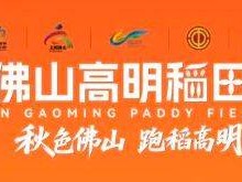 2025高明稻田馬拉松報名費多少錢？