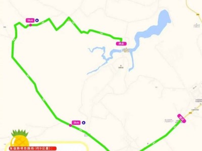 2026徐聞馬拉松友誼跑賽事舉辦期間交通管制