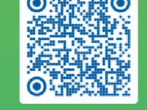 2024年肇慶馬拉松比賽直播入口+回放入口