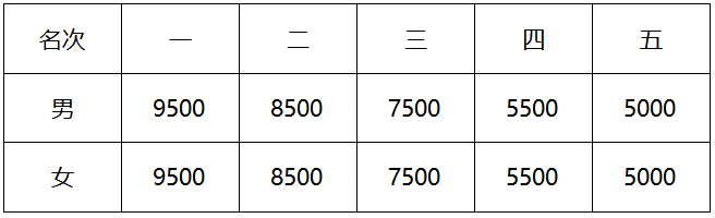 2024泰安馬拉松(賽事規(guī)程)（5）