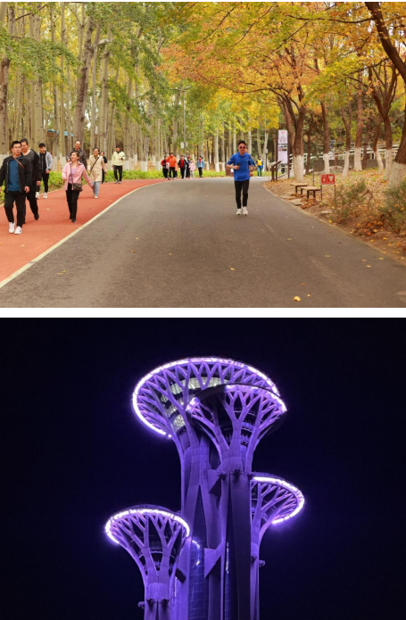 銳進四季2024奧森中秋長跑嘉年華(賽事規(guī)程)（8）