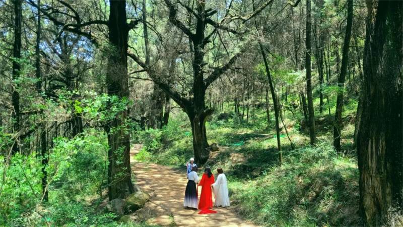 2024翠云廊少年越野賽(賽事規(guī)程)(4) 2024翠云廊少年越野賽(賽事規(guī)程)(4)