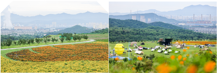 2024第二屆夢想祈福跑(賽事規(guī)程)