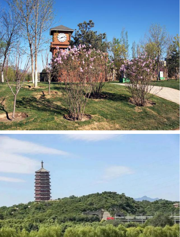 全民健康跑系列活動-2024京西賞花長跑節(jié)(賽事規(guī)程)（8）