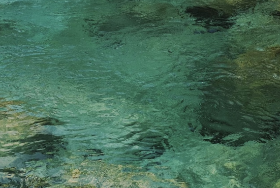 2024徽黃之路國際越野徒步大會(賽事規(guī)程)（9）