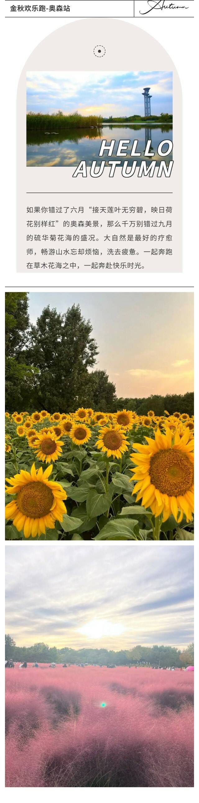 2024金秋奧森·跑康寧歡樂(lè)跑嘉年華(賽事規(guī)程)