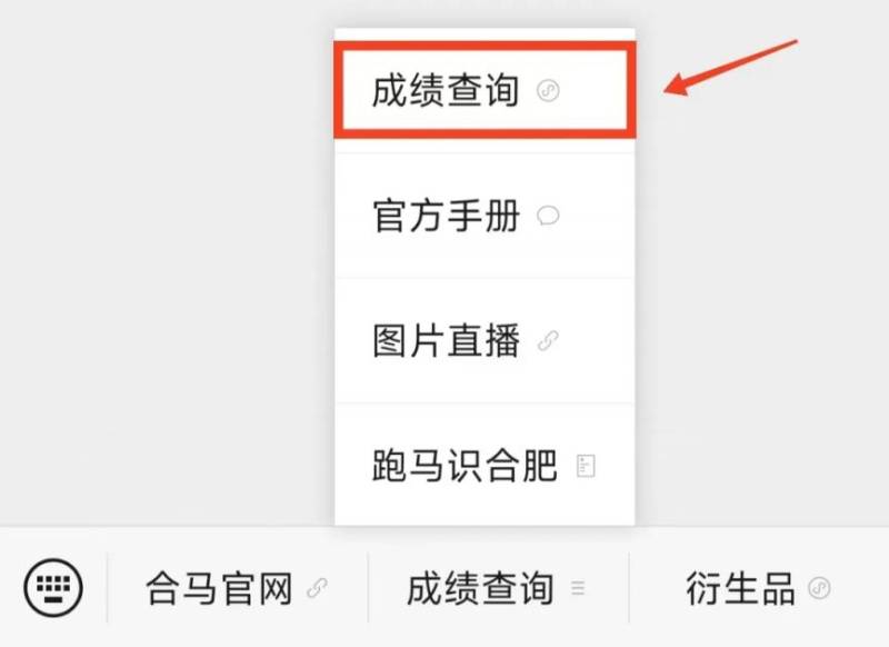 2024合肥馬拉松成績怎么查詢(附入口) 2024合肥馬拉松成績怎么查詢(附入口)
