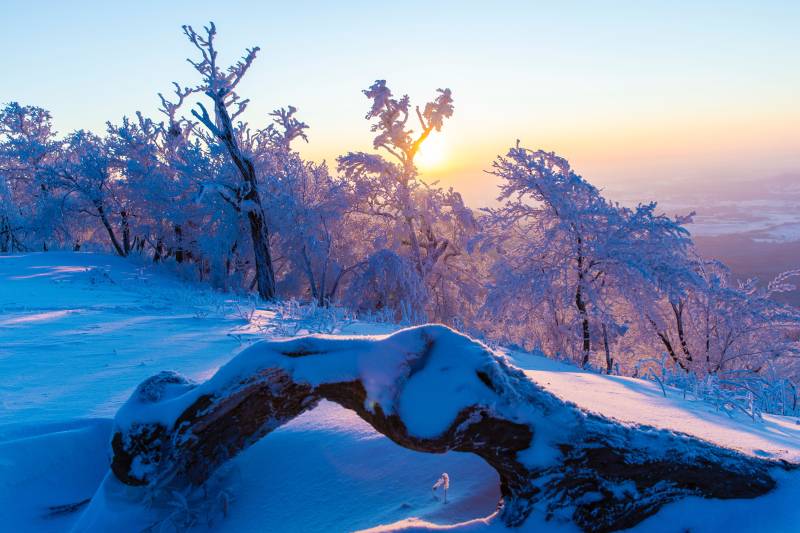 2024吉林·輝南四方頂山地冰雪馬拉松(賽事規(guī)程)