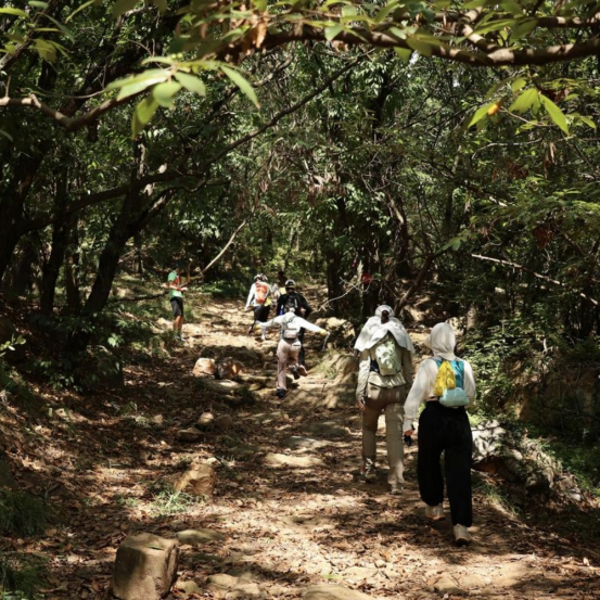 2025元旦登高大會(huì)(賽事規(guī)程)(7) 2025元旦登高大會(huì)(賽事規(guī)程)(7)