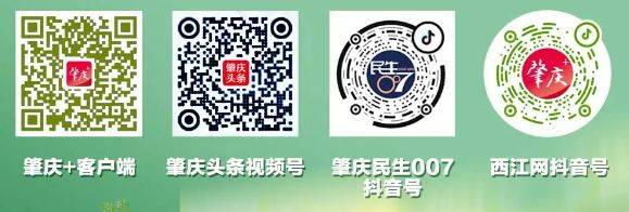 2024年肇慶馬拉松比賽直播觀看入口（電視端+手機端）