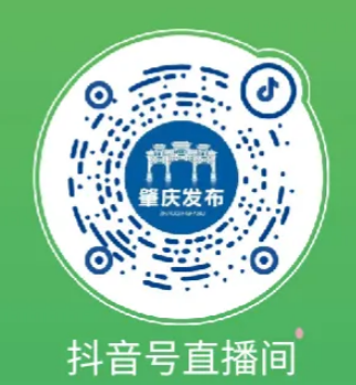 肇慶馬拉松2024年直播視頻回放觀看（2）