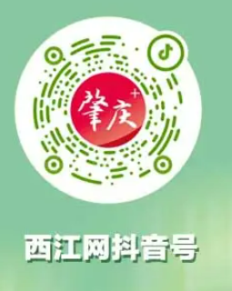 2024年肇慶馬拉松比賽直播入口+回放入口（6）