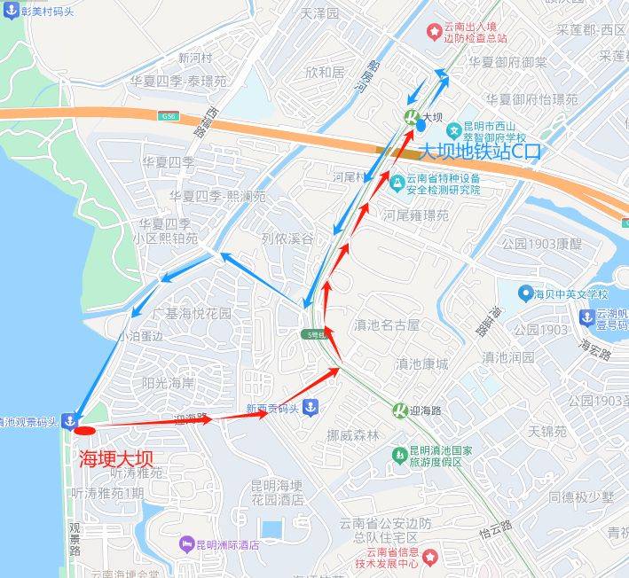 2024上合昆明馬拉松選手可以免費坐公交嗎？（8）