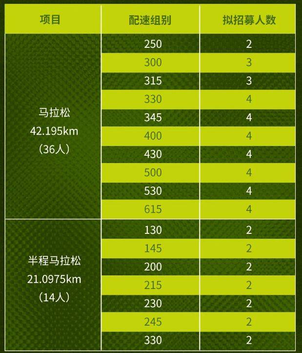 2025武漢馬拉松領(lǐng)跑員招募人數(shù)+條件+時間