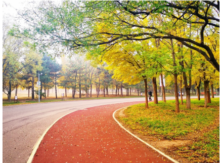 銳進(jìn)四季-2025奧森迎春跑(賽事規(guī)程)（11）