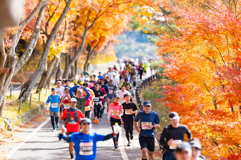 2025年日本富士山馬拉松(賽事規(guī)程)（3）