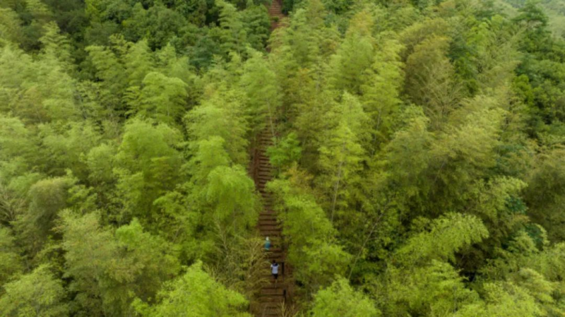 2025余杭新春跑山賽(賽事規(guī)程)（3）