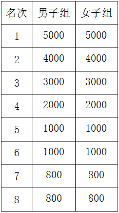 2025年岳陽馬拉松有什么獎勵？（5）