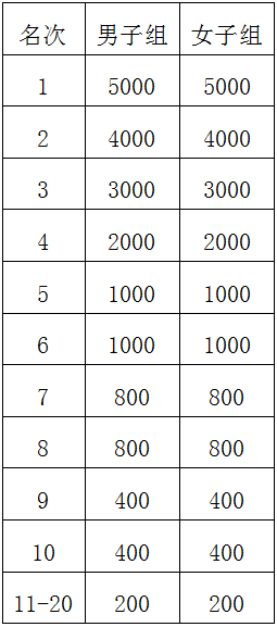 2025年岳陽馬拉松有什么獎勵？（2）