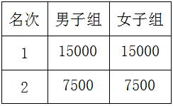 2025年岳陽馬拉松有什么獎勵？（6）