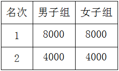 2025年岳陽馬拉松有什么獎勵？（8）