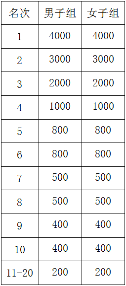 2025年岳陽馬拉松有什么獎勵？（3）