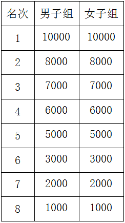 2025年岳陽馬拉松有什么獎勵？（4）