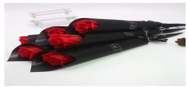 “3.8女神節(jié)”2025北京女子美麗跑(賽事規(guī)程)（10）