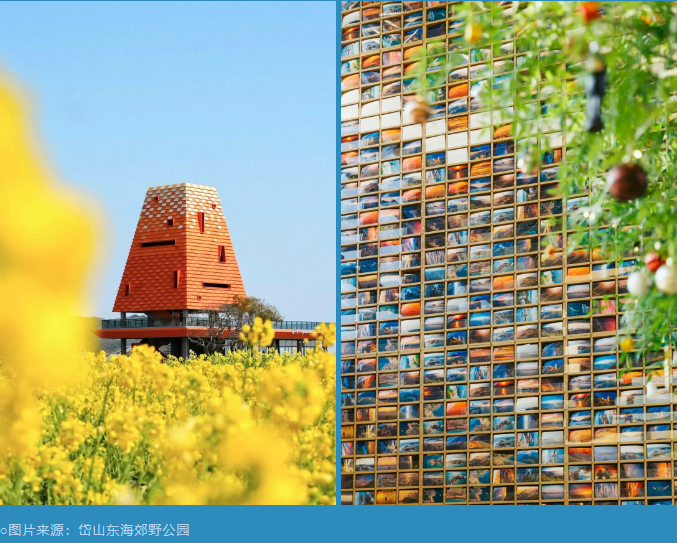 2025海島公園岱山島徒步大會(huì)(賽事規(guī)程)（9）