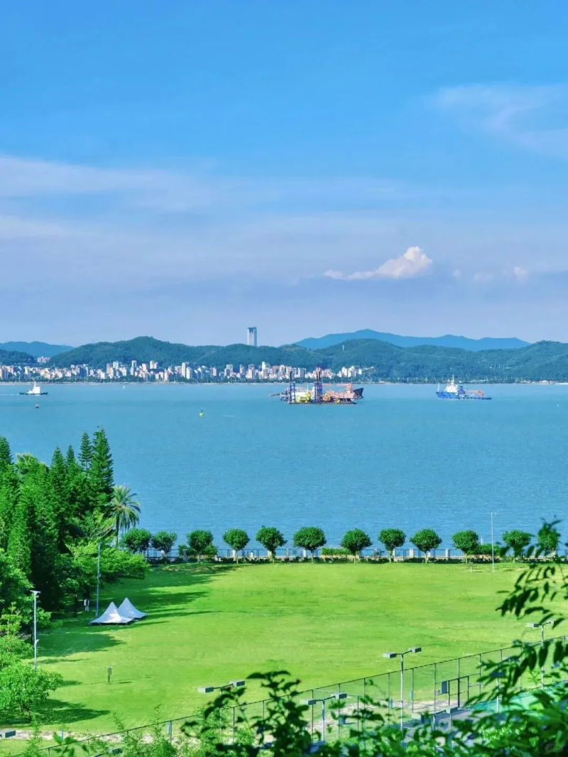 2025粵港澳大灣區(qū)燈會迷你馬拉松(賽事規(guī)程)（5）