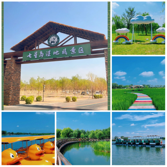 2025綠跑中國全民健康大賽（天津·寧河站）(賽事規(guī)程)（7）