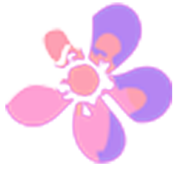 2025呼和浩特半程馬拉松開放參賽號碼查詢通道(10) 2025呼和浩特半程馬拉松開放參賽號碼查詢通道(10)