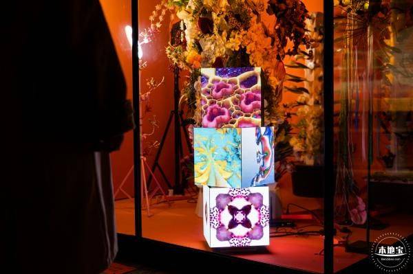 2023深圳香蜜公園光影藝術(shù)季時(shí)間、看點(diǎn)、交通指南（13）