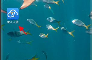 龍江人社APP認(rèn)證記錄信息在哪里查詢？